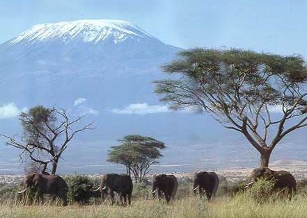 Гора - Килиманджаро