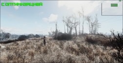 Fallout 4 Оптимизация травы