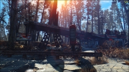 Fallout 4 Pine Forest