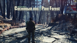 Сосновый лес Fallout 4 Pine Forest